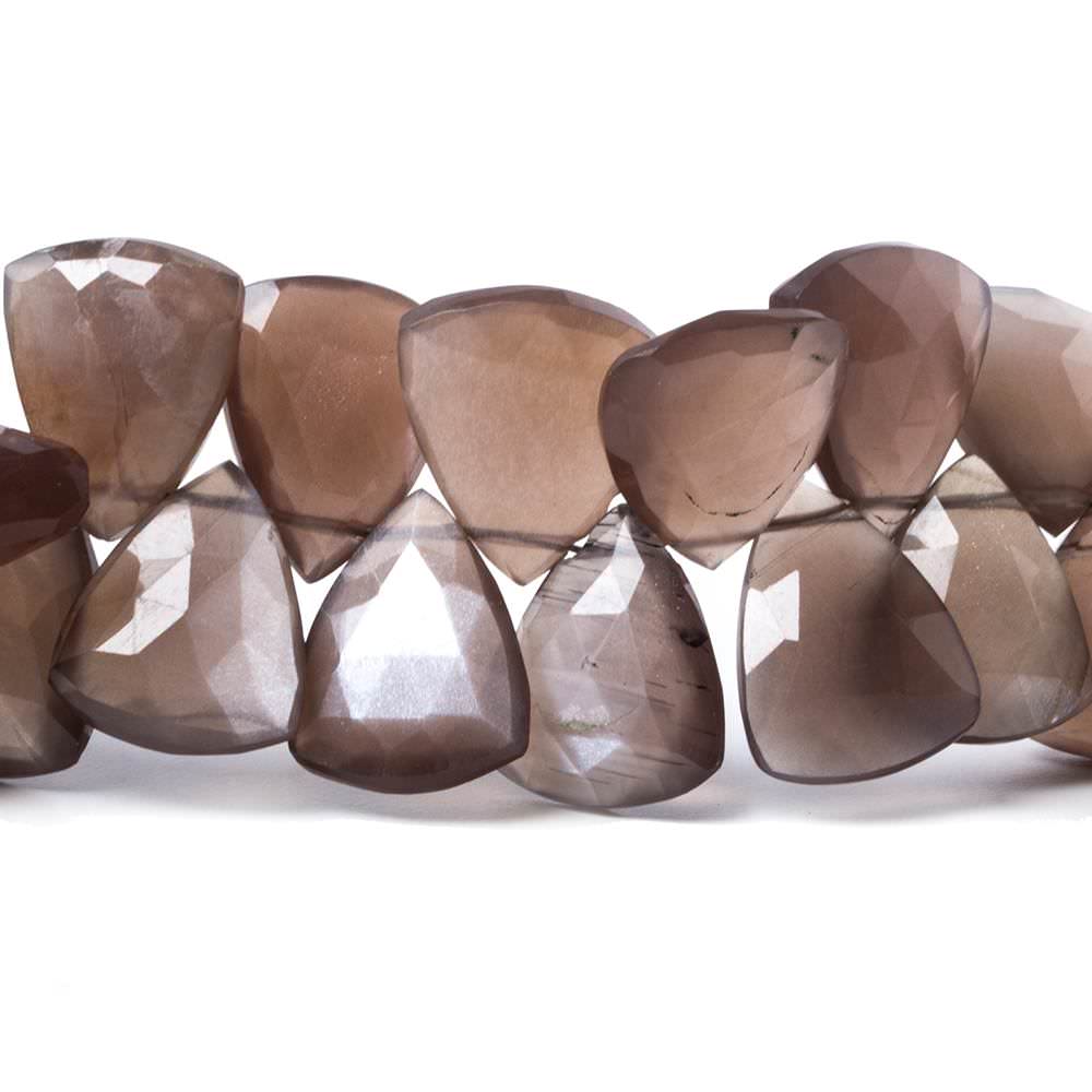 13x17mm Chocolate Moonstone faceted flat trillion beads 8 inch 38 pcs