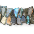 15-16mm Labradorite Faceted Fancy Briolette 7 inch 55 Beads AA