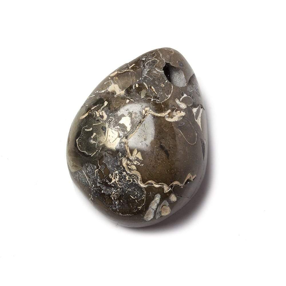 17x26mm Pyritized Ammonite  Fossil Focal Bead