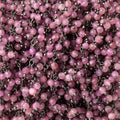 3mm Pink Tourmaline micro-faceted round Black Gold Dangling Chain by the foot