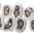 Solar Quartz top drilled Natural Crystal Slices with Drusy Edge 8 inch 14 pieces