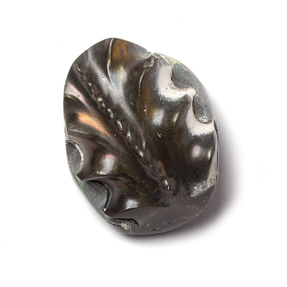 31x26mm Pyritized Ammonite  Fossil Focal Bead