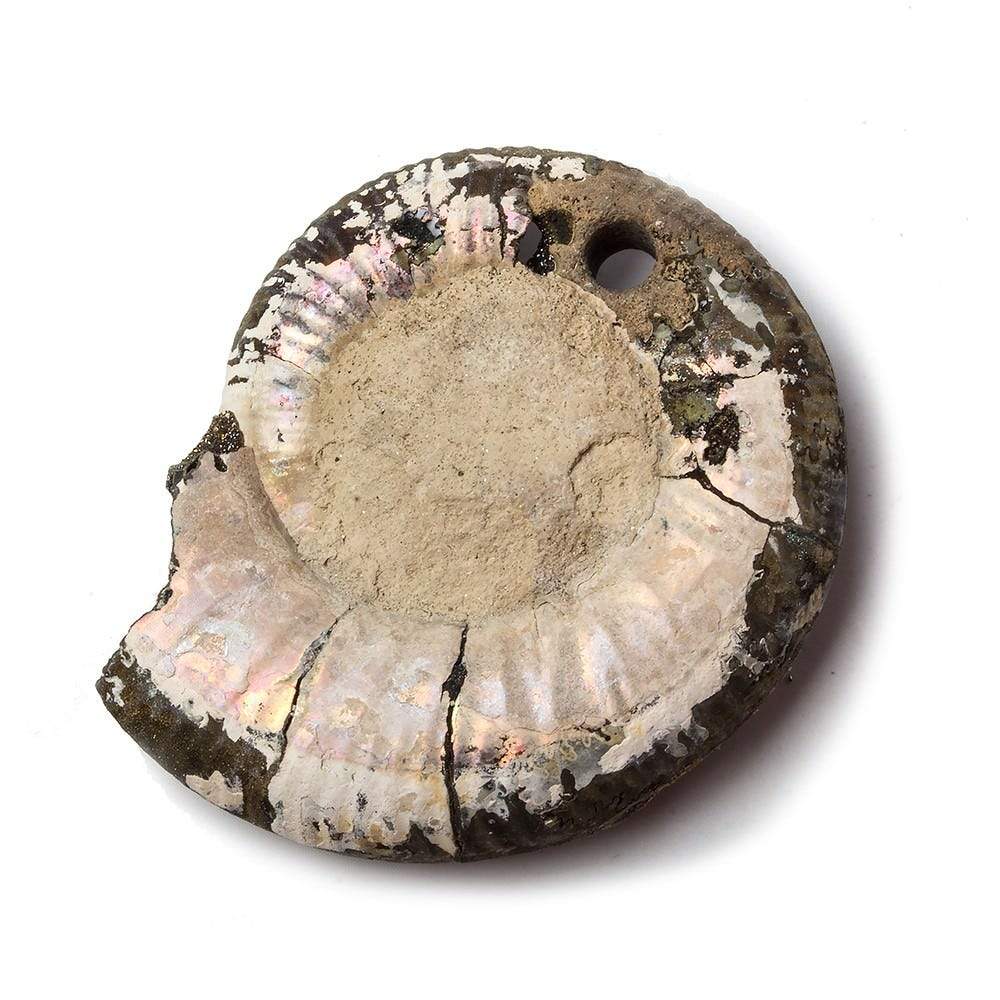 38x32mm Pyritized Ammonite  Fossil Focal Bead
