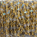 3mm Labradorite faceted rondelle Gold Chain by the foot 40 pieces