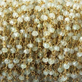 3mm Prehnite faceted rondelle Gold plated Chain by the foot 40 pcs