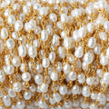 4x5-3x4mm White Straight Drill Baroque Pearl Gold plated Chain by the foot 27 pcs
