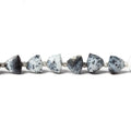 5.3x5-6.3x6mm Dendritic Opal Straight Drilled Faceted Trillion 7 inch 24 beads