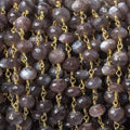 6-7mm Chocolate Moonstone rondelle Gold Chain by the foot 28 pieces