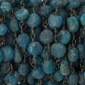 7.5-8mm Matte Apatite plain coin Black Gold plated Chain by the foot 22 beads