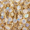 7.5-8mm Rainbow Moonstone Faceted Coin Cabochon Vermeil Bezeled Chain