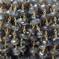 9mm Mystic Labradorite faceted rondelle Gold Plated Chain by the foot 22 pcs