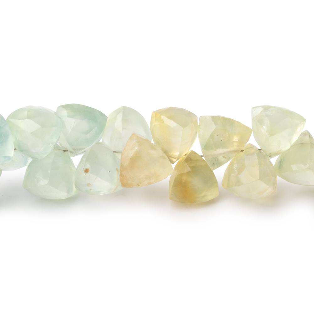 9mm Prehnite Beads Top Drill Trillion Beads 8 inch 50 pieces
