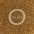 Miyuki 15-1054  15/0 Galvanized Dark Yellow Gold Seed Beads, 5 or 10 gm