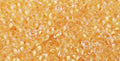 TOHO TD-8-961F  - 8/0  Matte Dark Golden Cream Lined Crystal Demi Beads, 5 gm