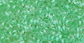 TOHO TD-8-975 - 8/0  Mint Green Lined Crystal Demi Beads, 5 gm