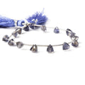 Iolite Beads Top Drilled Trillion