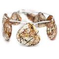 Pollack Jasper Beads Plain Heart